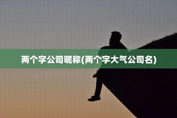两个字公司昵称(两个字大气公司名)