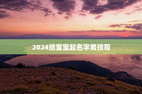 2024给宝宝起名字男孩司