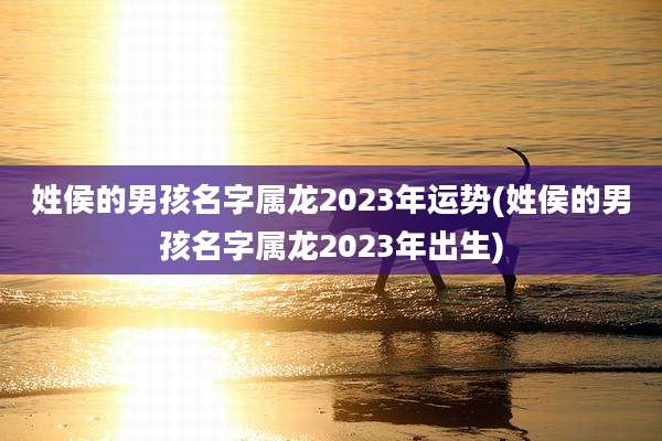 姓侯的男孩名字属龙2023年运势(姓侯的男孩名字属龙2023年出生)