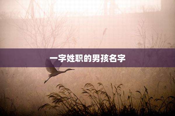 一字姓职的男孩名字