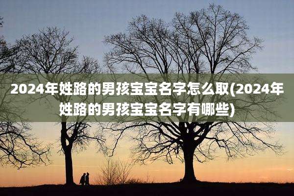 2024年姓路的男孩宝宝名字怎么取(2024年姓路的男孩宝宝名字有哪些)
