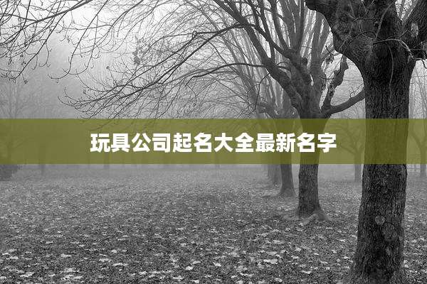 玩具公司起名大全最新名字