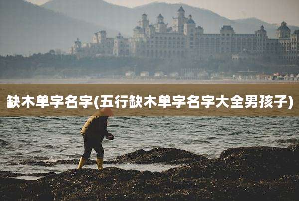 缺木单字名字(五行缺木单字名字大全男孩子)