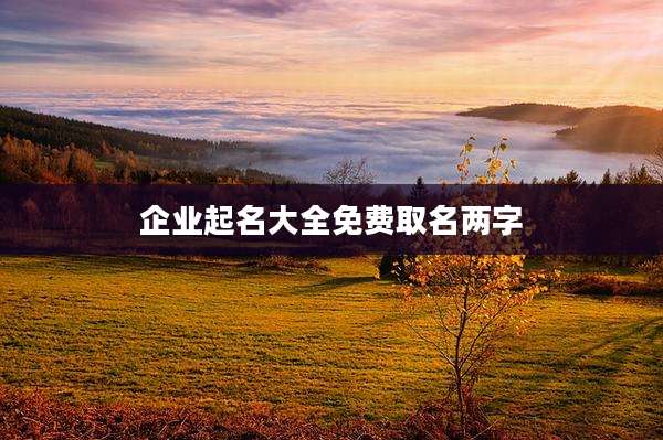 企业起名大全免费取名两字