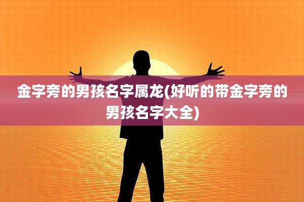 金字旁的男孩名字属龙(好听的带金字旁的男孩名字大全)