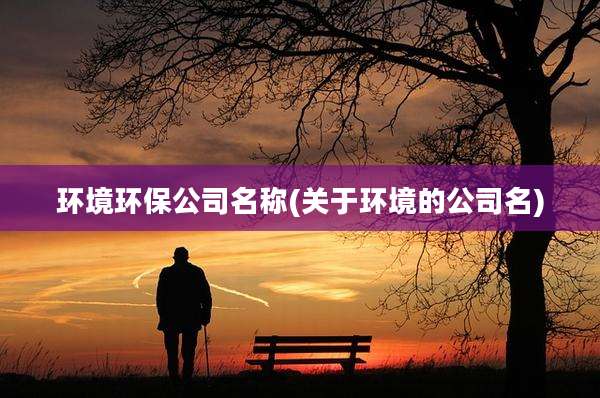 环境环保公司名称(关于环境的公司名)