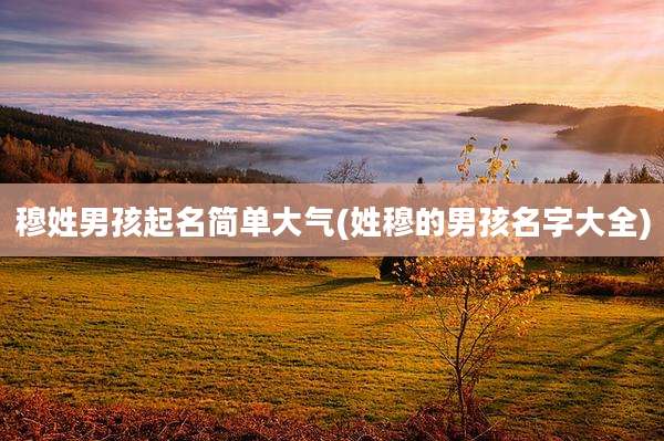 穆姓男孩起名简单大气(姓穆的男孩名字大全)