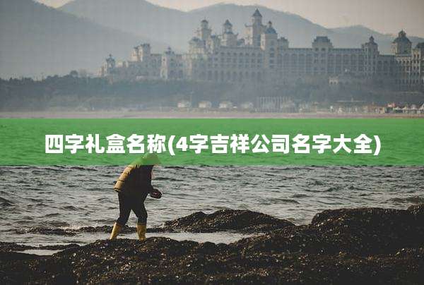 四字礼盒名称(4字吉祥公司名字大全)