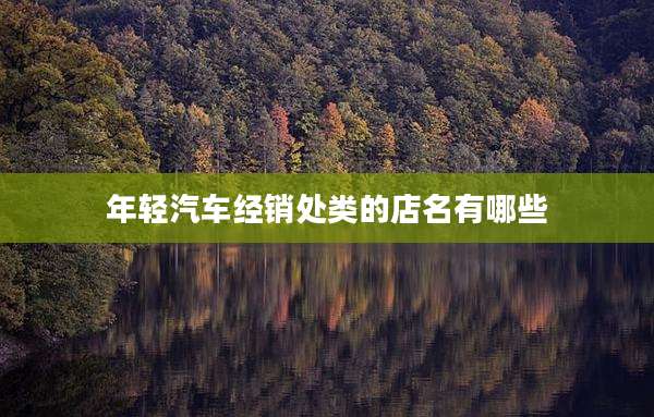 年轻汽车经销处类的店名有哪些