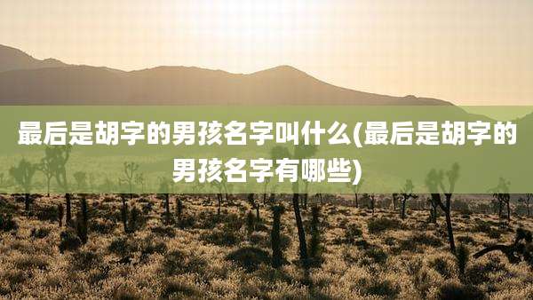 最后是胡字的男孩名字叫什么(最后是胡字的男孩名字有哪些)