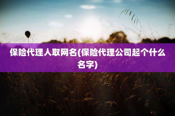 保险代理人取网名(保险代理公司起个什么名字)