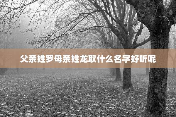 父亲姓罗母亲姓龙取什么名字好听呢