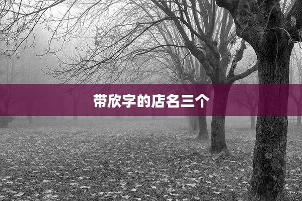 带欣字的店名三个