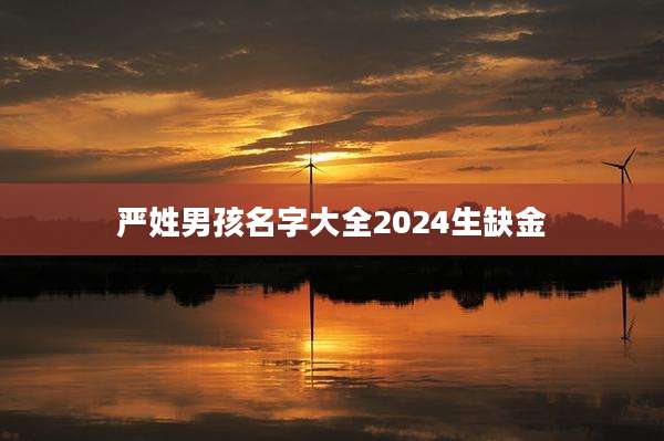 严姓男孩名字大全2024生缺金