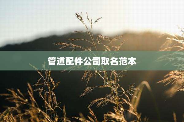 管道配件公司取名范本