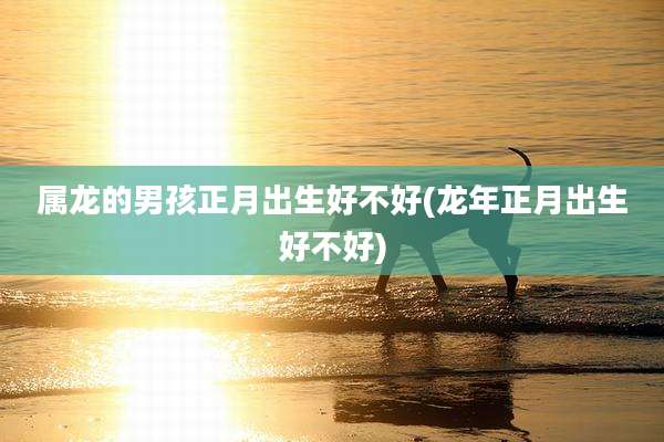 属龙的男孩正月出生好不好(龙年正月出生好不好)