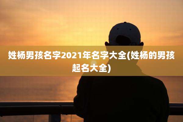 姓杨男孩名字2021年名字大全(姓杨的男孩起名大全)