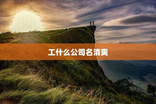 工什么公司名清爽