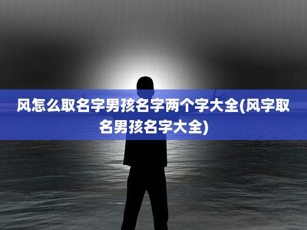 风怎么取名字男孩名字两个字大全(风字取名男孩名字大全)