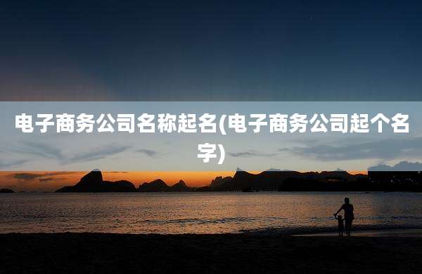电子商务公司名称起名(电子商务公司起个名字)