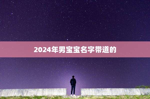 2024年男宝宝名字带道的