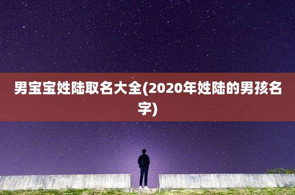 男宝宝姓陆取名大全(2020年姓陆的男孩名字)