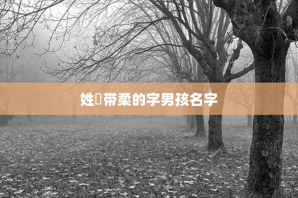 姓嵺带柔的字男孩名字