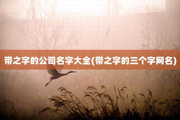 带之字的公司名字大全(带之字的三个字网名)