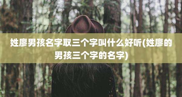 姓廖男孩名字取三个字叫什么好听(姓廖的男孩三个字的名字)