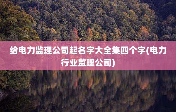 给电力监理公司起名字大全集四个字(电力行业监理公司)