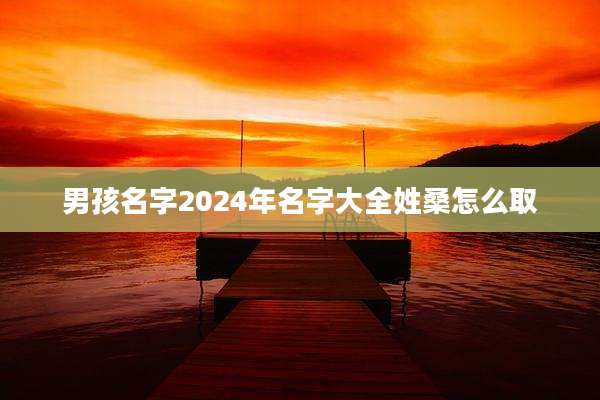 男孩名字2024年名字大全姓桑怎么取