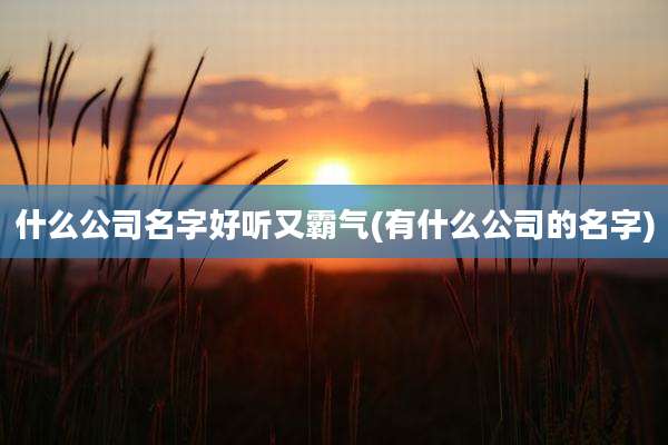 什么公司名字好听又霸气(有什么公司的名字)