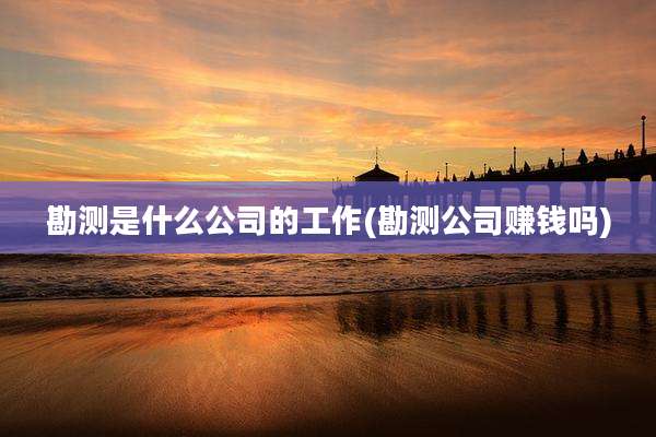 勘测是什么公司的工作(勘测公司赚钱吗)