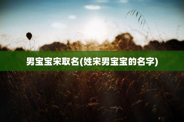 男宝宝宋取名(姓宋男宝宝的名字)