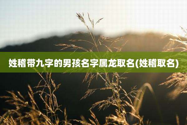 姓稽带九字的男孩名字属龙取名(姓稽取名)