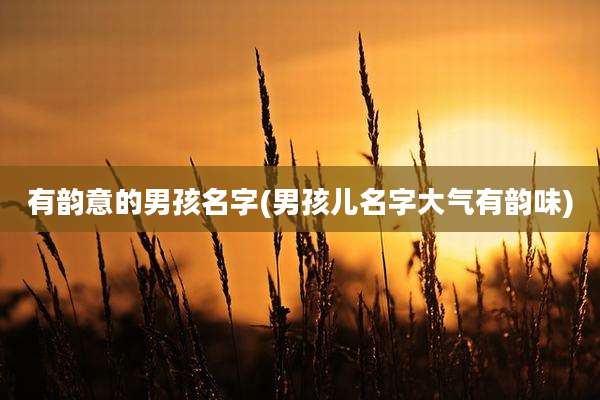 有韵意的男孩名字(男孩儿名字大气有韵味)