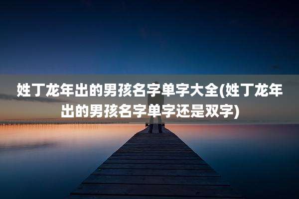 姓丁龙年出的男孩名字单字大全(姓丁龙年出的男孩名字单字还是双字)