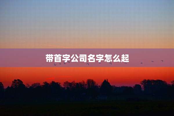 带首字公司名字怎么起