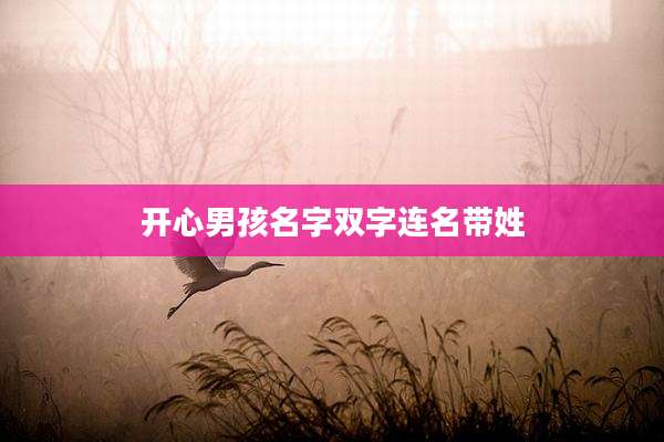 开心男孩名字双字连名带姓