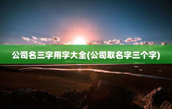 公司名三字用字大全(公司取名字三个字)