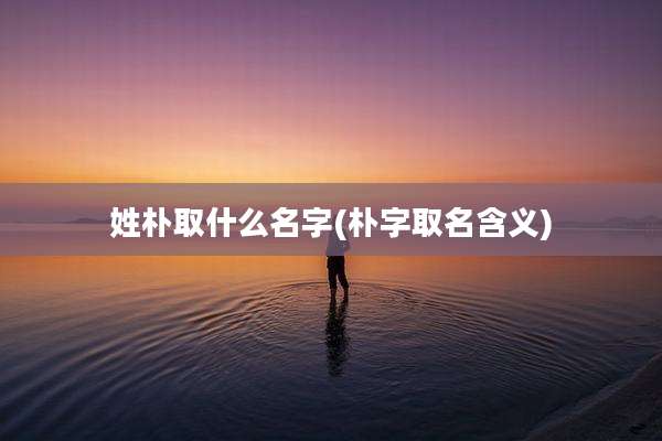 姓朴取什么名字(朴字取名含义)
