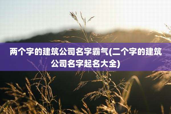 两个字的建筑公司名字霸气(二个字的建筑公司名字起名大全)