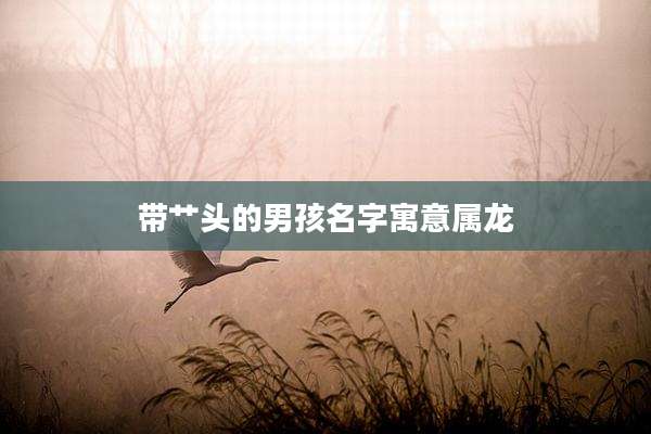 带艹头的男孩名字寓意属龙