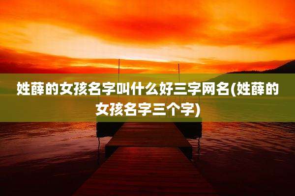 姓薛的女孩名字叫什么好三字网名(姓薛的女孩名字三个字)