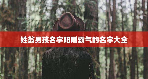 姓翁男孩名字阳刚霸气的名字大全
