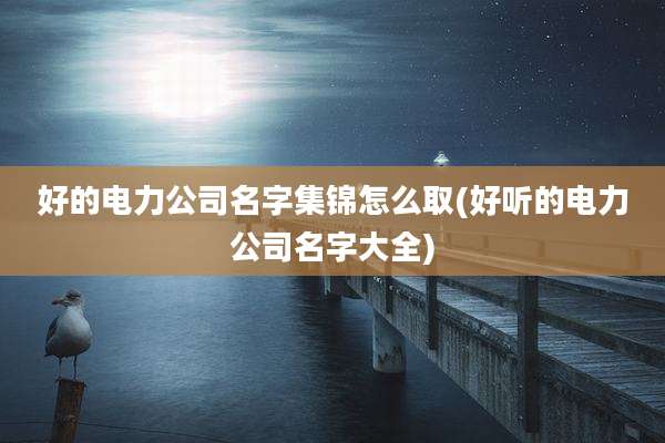 好的电力公司名字集锦怎么取(好听的电力公司名字大全)