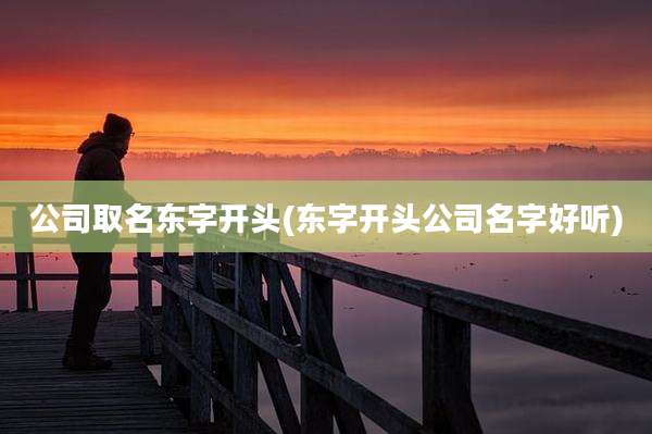 公司取名东字开头(东字开头公司名字好听)