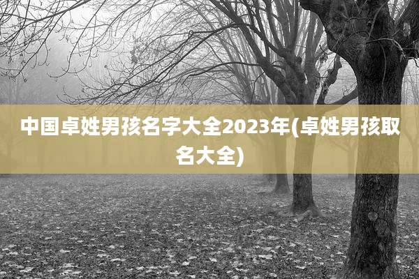 中国卓姓男孩名字大全2023年(卓姓男孩取名大全)