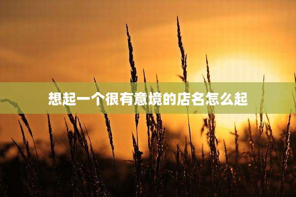 想起一个很有意境的店名怎么起