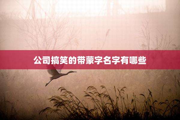 公司搞笑的带蒙字名字有哪些